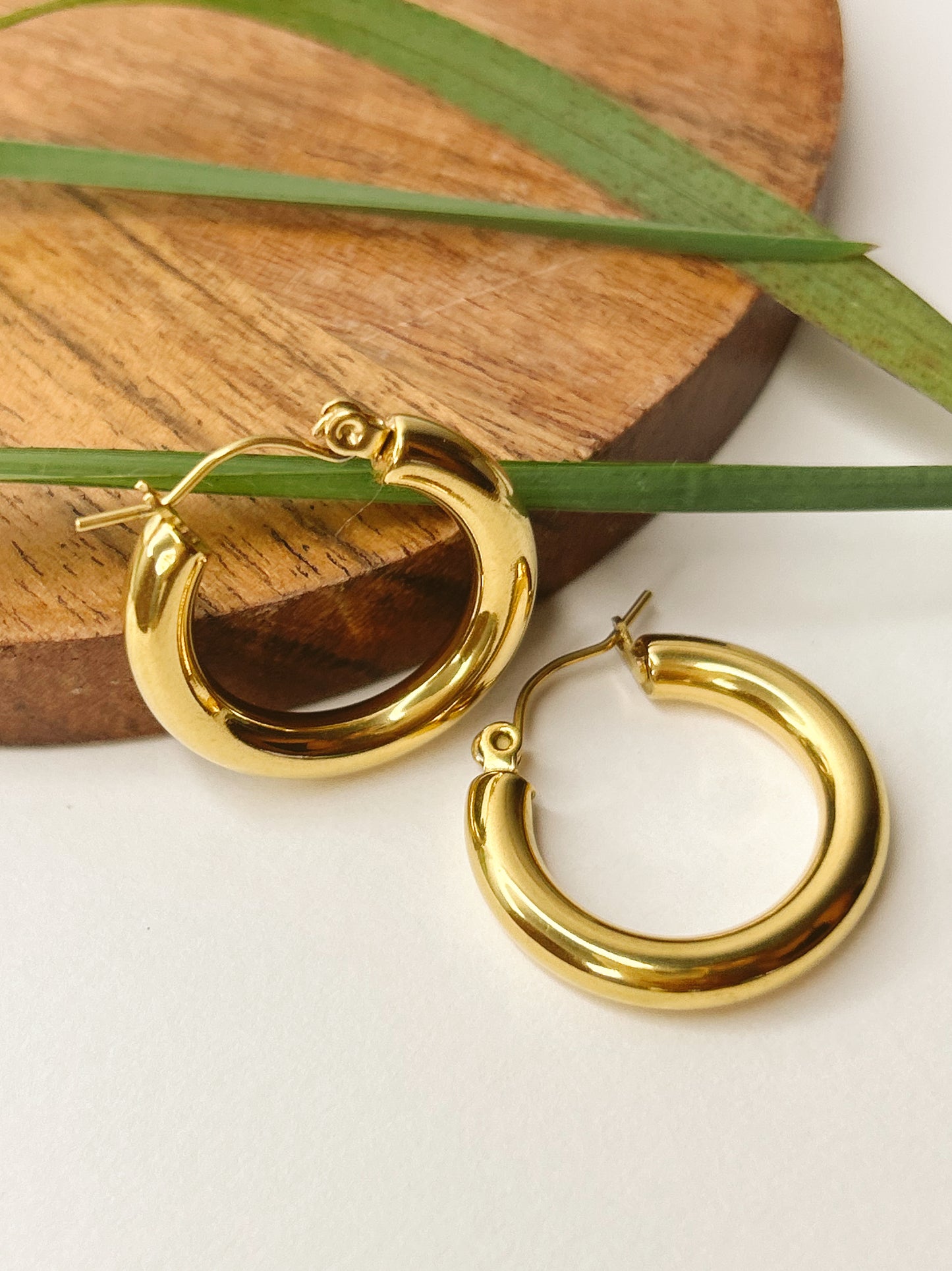 Fany hoops